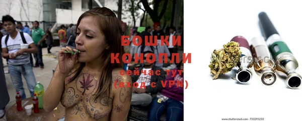PSILOCYBIN Корсаков