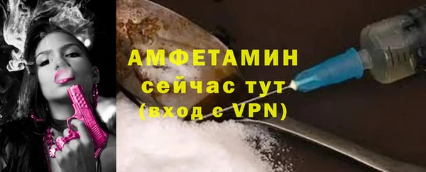 PSILOCYBIN Корсаков