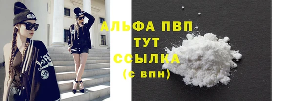 PSILOCYBIN Корсаков