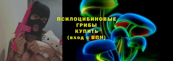 амф Козельск