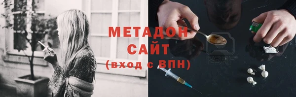 PSILOCYBIN Корсаков