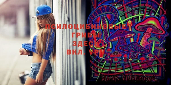 дурь Костерёво