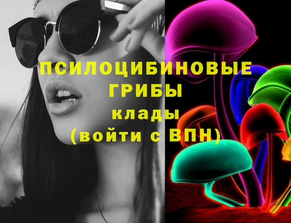 PSILOCYBIN Корсаков