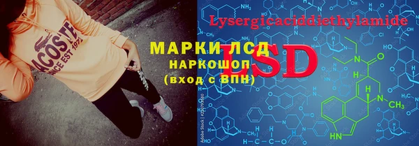 PSILOCYBIN Корсаков