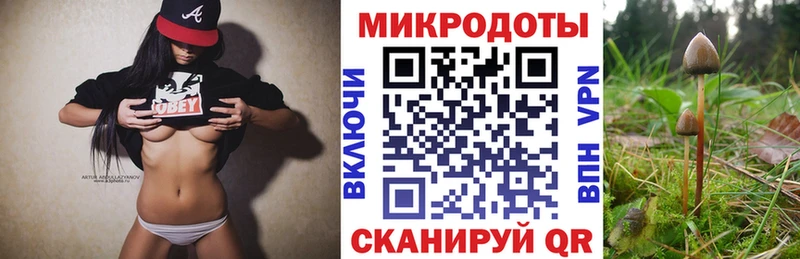 Купить  Галич  Галлюциногенные грибы GOLDEN TEACHER 